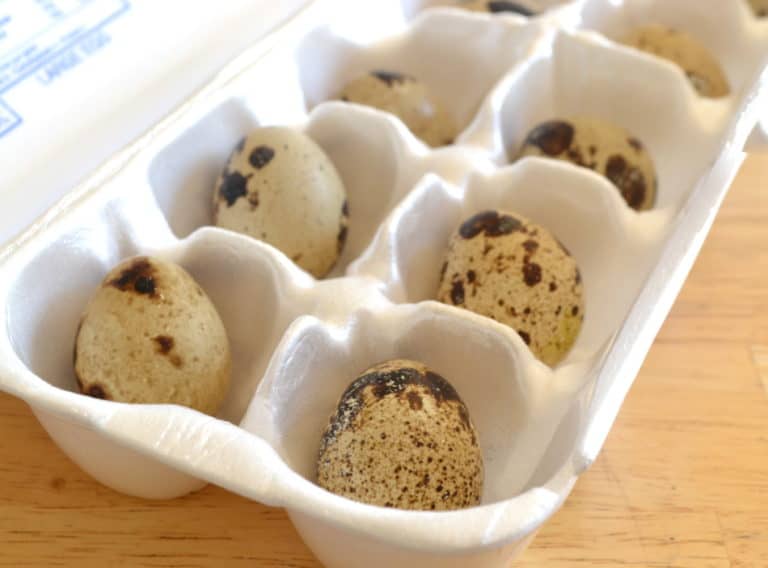 Hard Boiled Quail Eggs - Crafty Cooking Mama